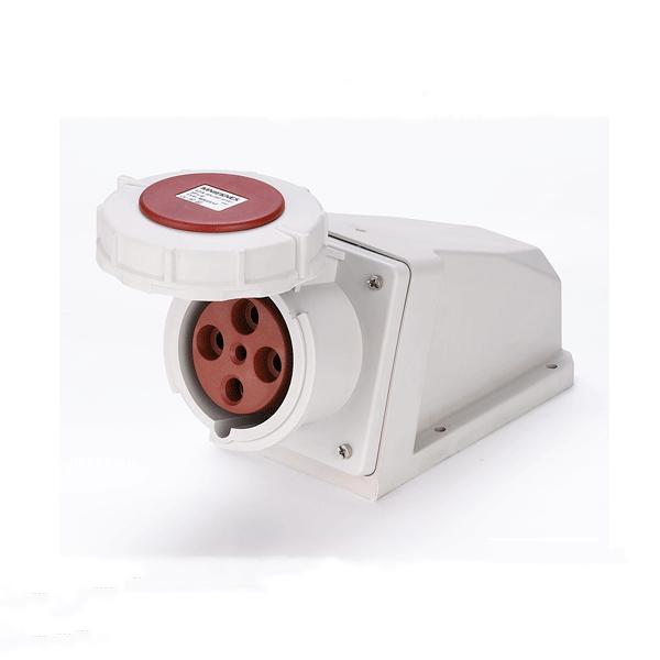 63A 3P+PE IP67 Industrial Wall-Mounted Sockets
