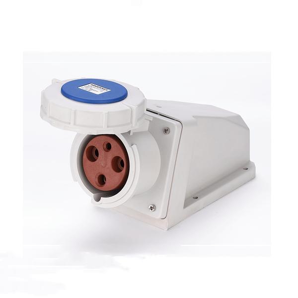 63A 2P+PE IP67 Industrial Wall-Mounted Sockets